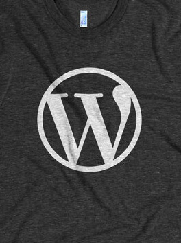 Material de publicitat del WordPress