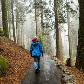 Female hiker enjoying the fresh morning hike through a misty wet forest in the morning