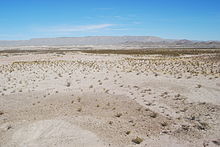 A view across the desert landscape of Big Bend National Park, Texas.jpg