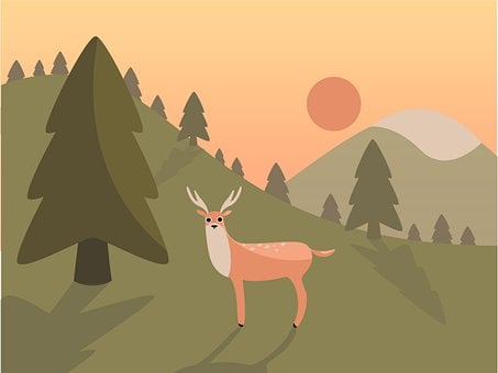 Landscape, Deer, Mountain, Nature, Wild