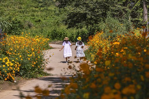 Children, Girls, Flowers, Road, Tree