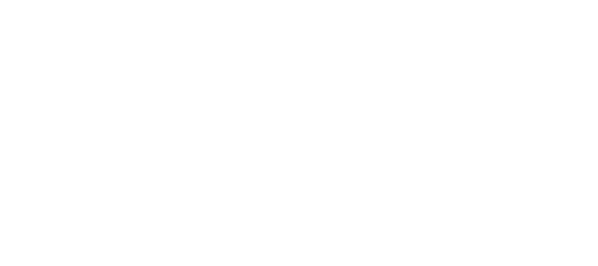 WordPress VIP