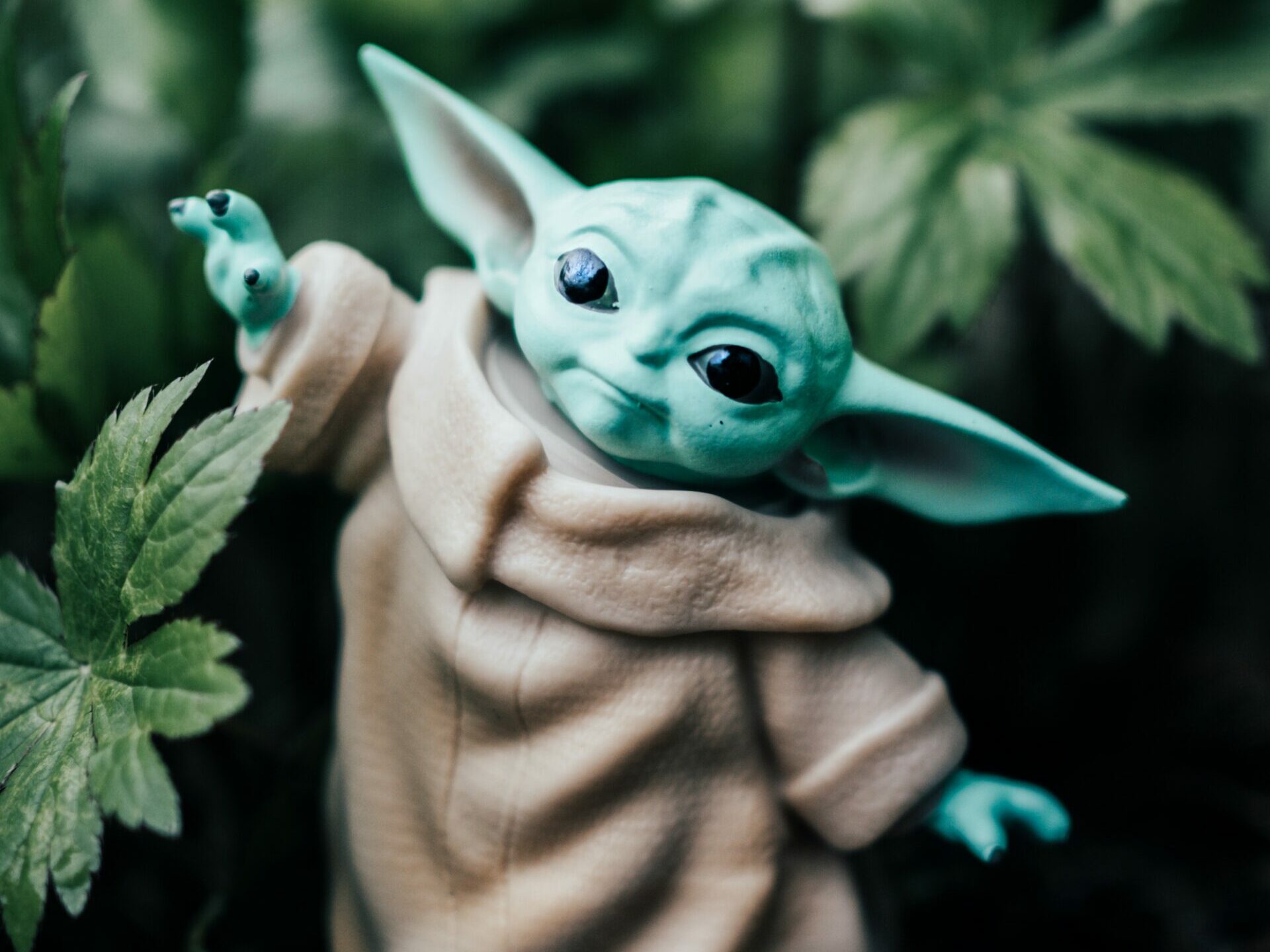 Baby Yoda