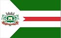 Bandeira de Nova Floresta