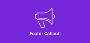 Footer Callout