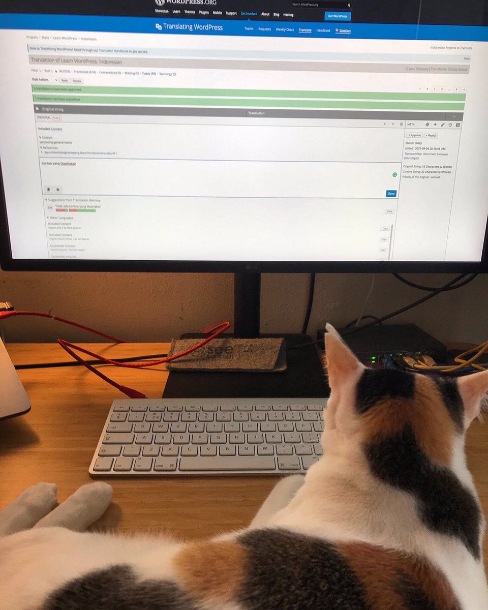 The cat supervises translation on #LearnWP for WordPress Translation Day 2021