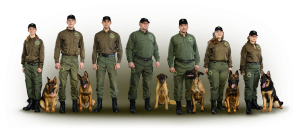 K-9 | Baltijos kinologijos centras