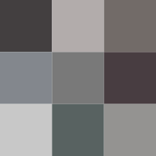 Color icon gray v2.svg
