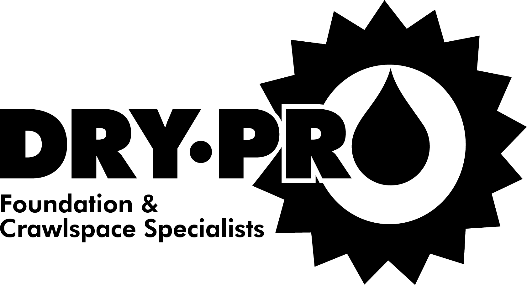 Drypro Logo Black