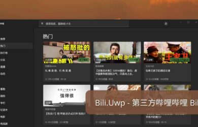 Bili.Uwp - 为 Windows 11 设计，第三方哔哩哔哩 Bilibili 客户端 13