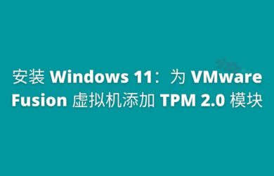 为 VMware Fusion 虚拟机添加 TPM 2.0 模块，安装 Windows 11 10