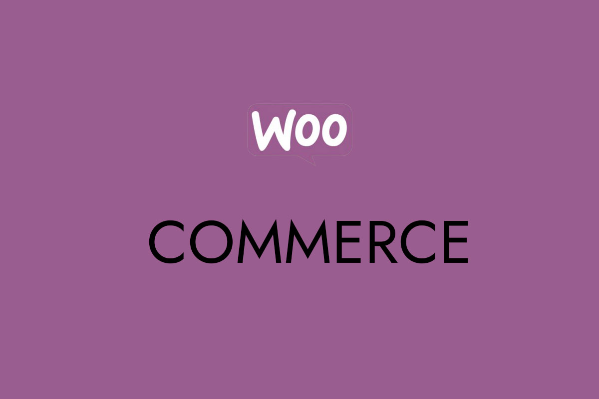 Best WordPress & Woo-commerce Themes