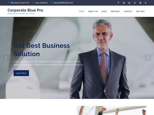 Corporate Blue Pro