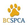 BC SPCA Logo