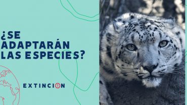 extincion-adaptacion-especies-cambio-climatico