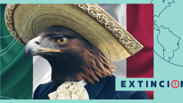 extincion-viva-mexico-especies-megadiverso