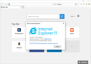 Internet Explorer 11 screenshot.png