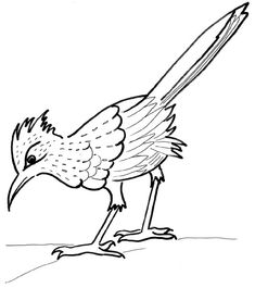 Do you love Road runner in characters of Looney Tunes cartoon?- Then this roadrunner coloring page is for you and your little one. This Coloring Page is Coloring Pages For Boys, Animal Coloring Pages, Coloring Sheets, Coloring Books, Bird Drawings, Cartoon Drawings, Road Runner Bird, Copper Art, Bird Pictures