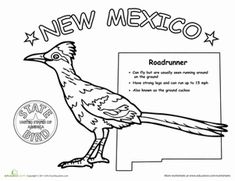   Coloring Pages To Print, Coloring Books, Homeschooling 3rd Grade, New Mexico Road Trip, Science Worksheets, Coloring Worksheets, State Birds, Kids Study, English Vocabulary Words