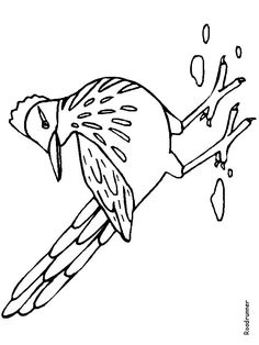 Print Roadrunner Animals Coloring Pages coloring page & book. Your own Roadrunner Animals Coloring Pages printable coloring page. With over 4000 coloring pages including Roadrunner Animals Coloring Pages . Animal Coloring Pages, Coloring Pages To Print, Printable Coloring Pages, Coloring Pages For Kids, Coloring Books, Desert Crafts, Texas Quilt, Christmas Colors, Christmas Ornaments