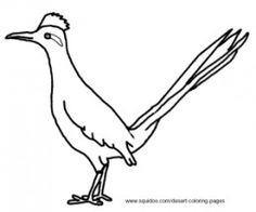 Roadrunner Coloring Pages Scavenger Hunts, Mosaic Ideas, Road Runner, Small Art, Coloring Pages For Kids, Tucson, Bird Art, Wall Signs, Line Drawing