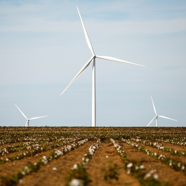 Windmill image