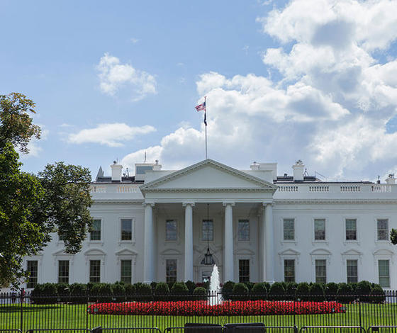 The White House