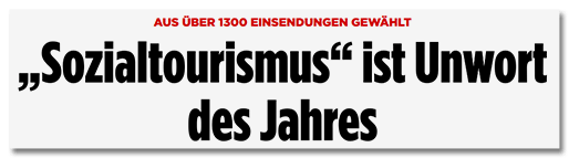 Screenshot Bild.de - Aus über 1300 Einsendungen gewählt - Sozialtourismus ist Unwort des Jahres