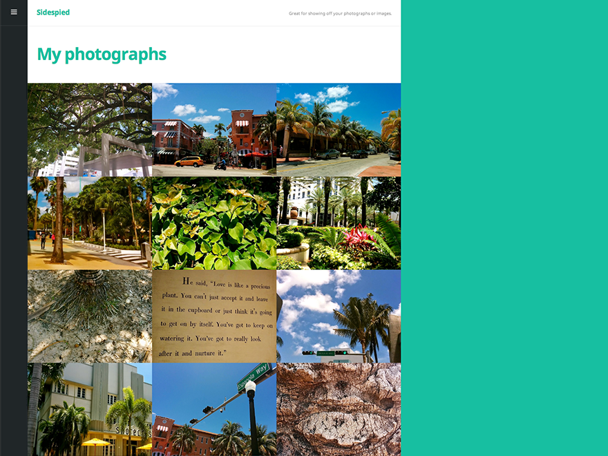 A portfolio child theme of Espied. Great for showing off your photographs or images.