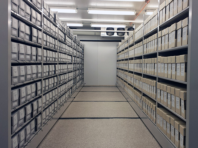 Row of shelves with neatly organized boxes.