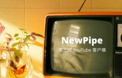 带 SponsorBlock 功能的 NewPipe 客户端[Android] 8