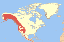 Cinclus mexicanus map.svg