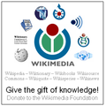 WikimediaDonationBox.PNG