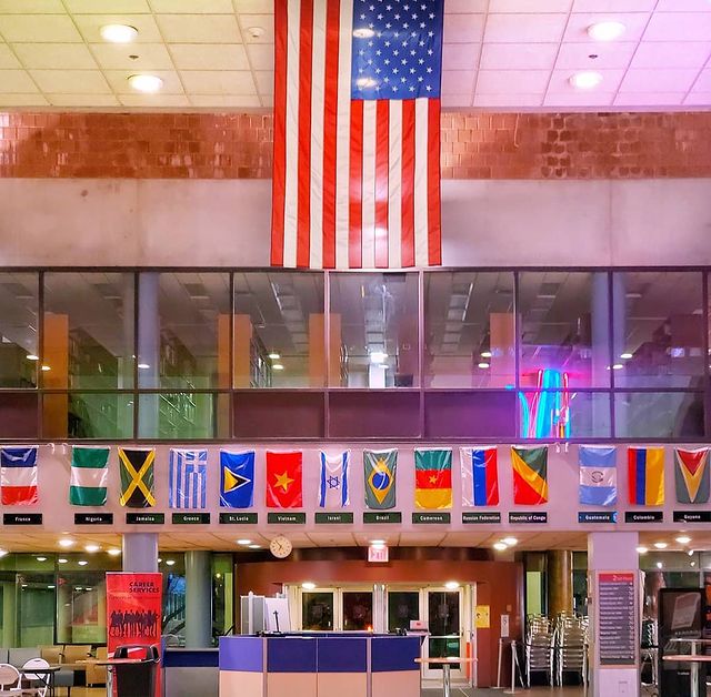 York Campus Flags