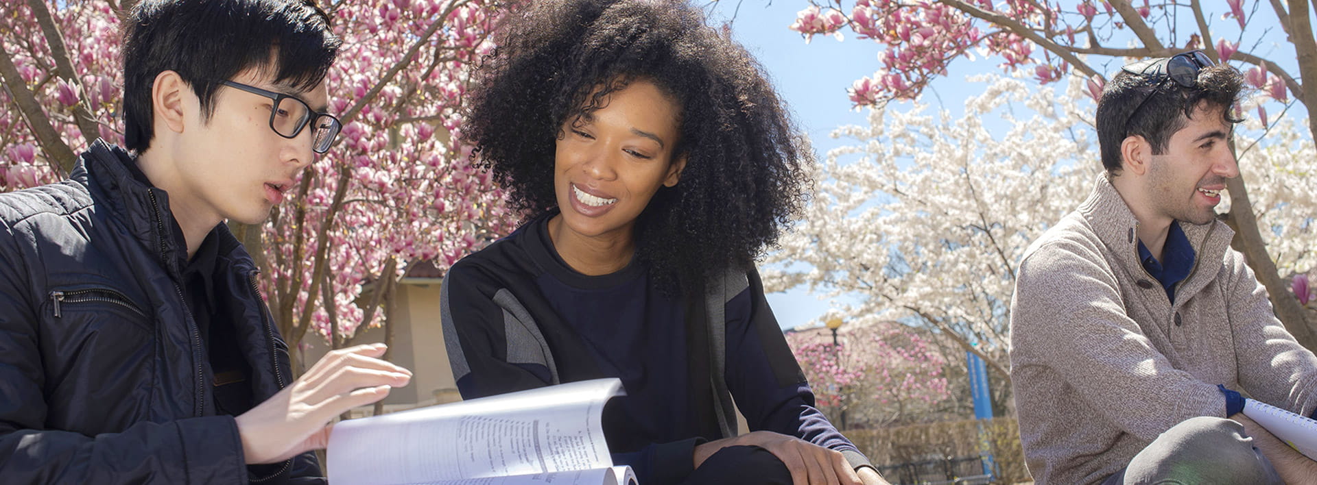 Diverse group of students sitting and talking on the Queens College campus in spring