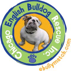 Bulldog Rescue