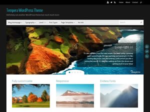 tempera-wordpress-theme-tiny