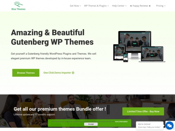 Web de Rise Themes