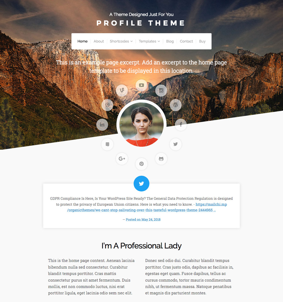 WordPress Profile Theme