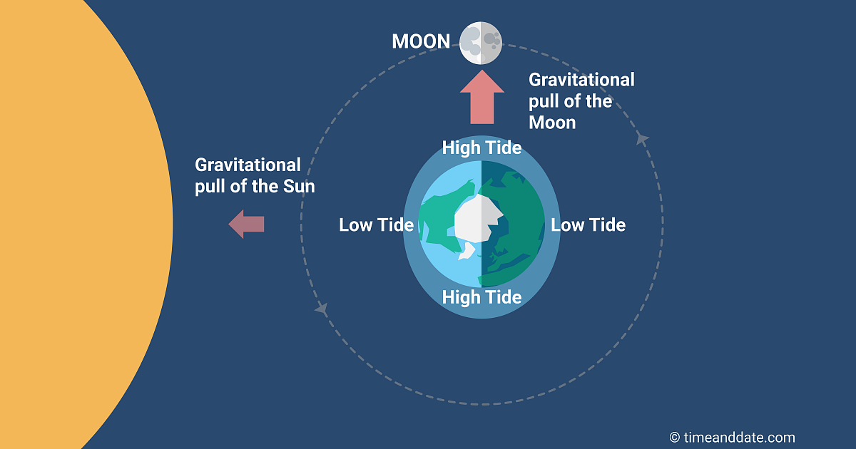 The tidal range is smallest at the 2 Quarter Moons.