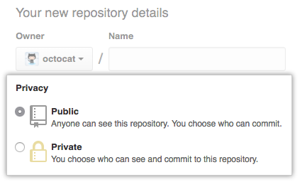 Public or private repository radio buttons