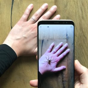 This shows a person's hand an a cellphone image with the hand and a spider on it