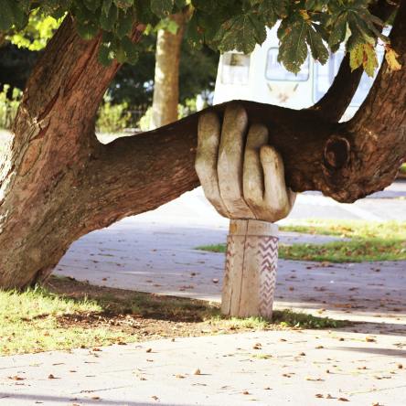 Hand holding up tree