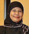 Tengku Maimun Tuan Mat 2019.jpg