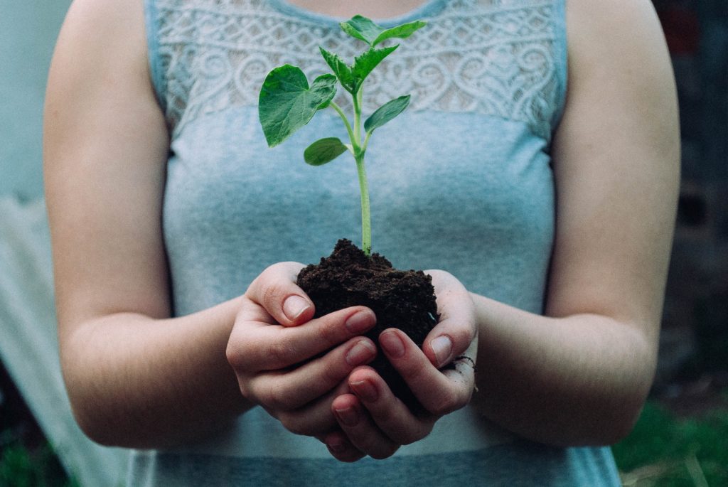 Closeup of a woman's hands holding a double handful of dirt with a green plant growing out of it.