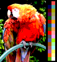 Screen color test SEGAMasterSystem.png