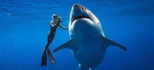 Ocean Ramsey and Deep Blue