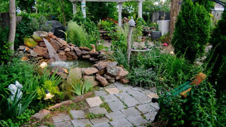 beautiful backyard landscaping with koi pond