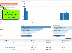 Quickly identify commonalities across slow requests, down to the user level, in real time.