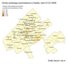 Plik:Polacy w Hadze.webm